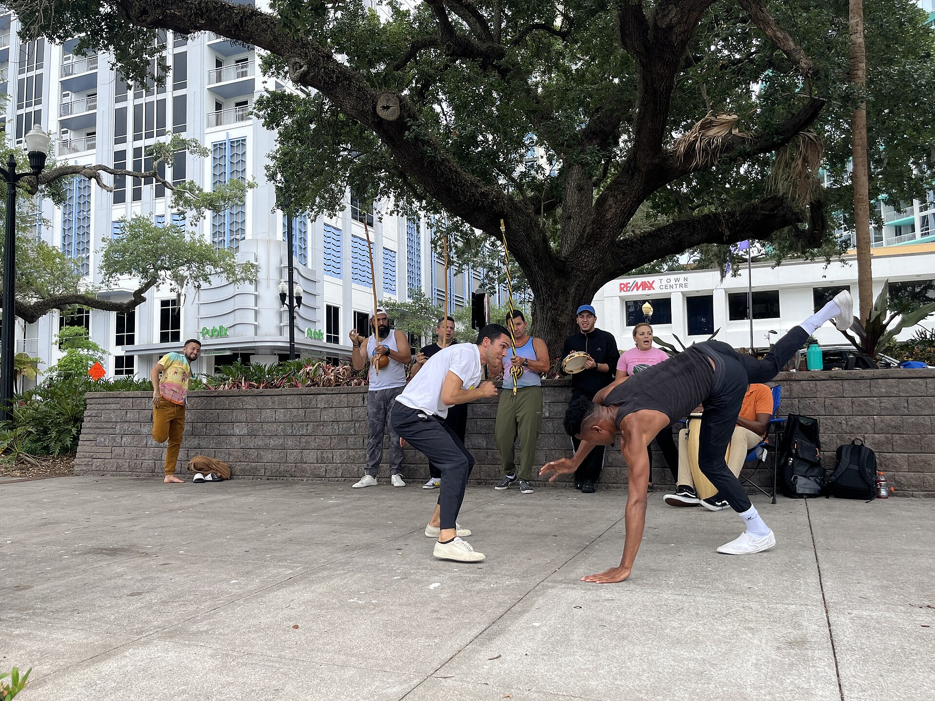 A capoeira gathering beneath the trees at Lake Eola Park
